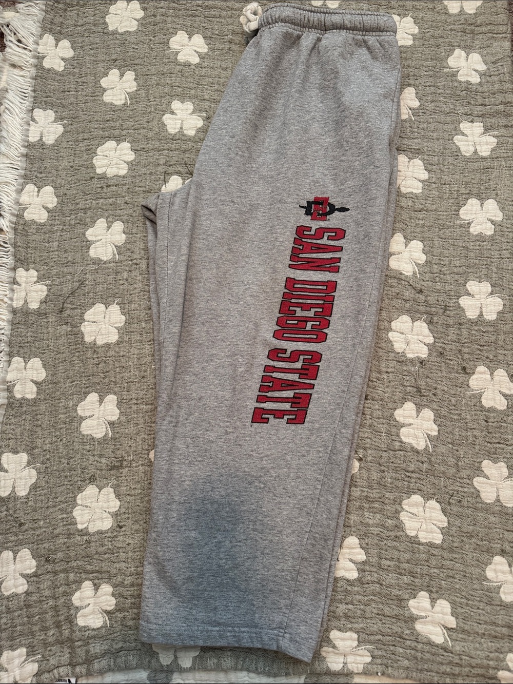San Diego State Aztec sweatpants